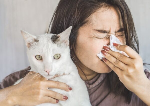 Hogyan kezeld az allergiát és az anafilaxiát? Segít a Semmelweis Egyetem! – Videó