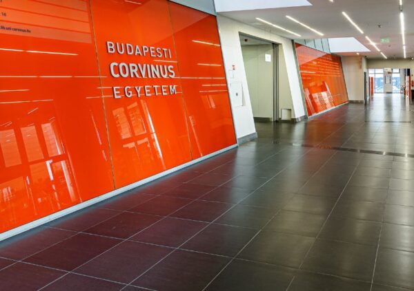 Corvinus launches three new English-language programmes