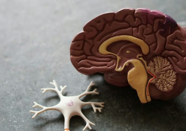 Új kutatócsoportot alapítanak az idegrendszeri degeneratív betegségek hátterének vizsgálatára